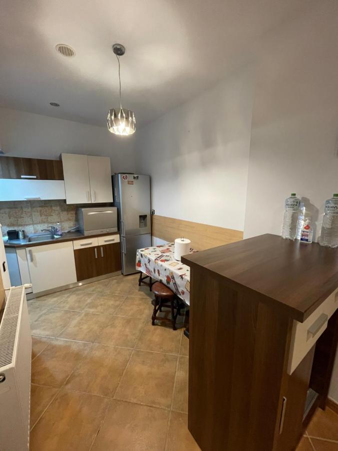 Maan Central Apartment Pet Friendly Location Brašov Exteriér fotografie