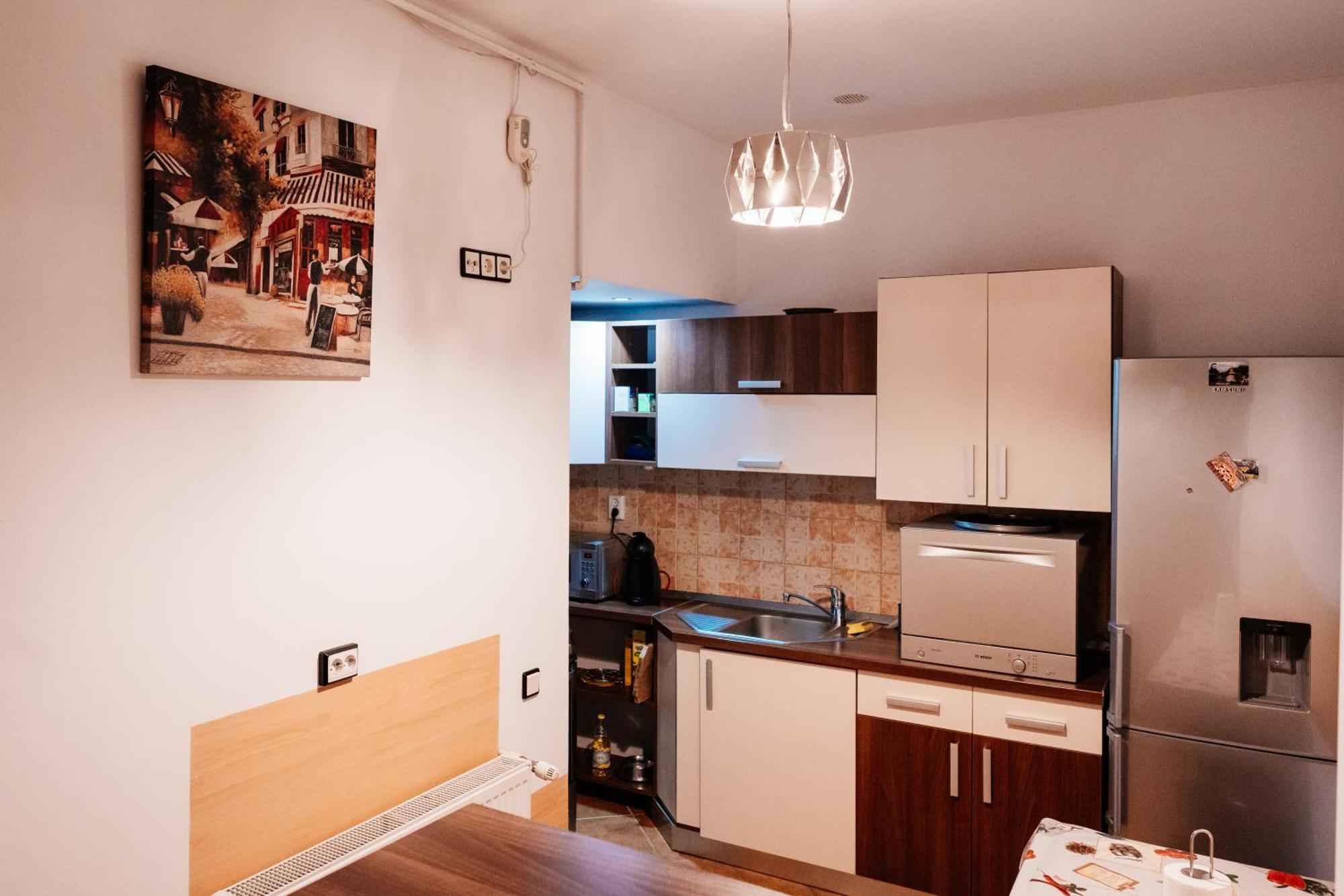 Maan Central Apartment Pet Friendly Location Brašov Exteriér fotografie
